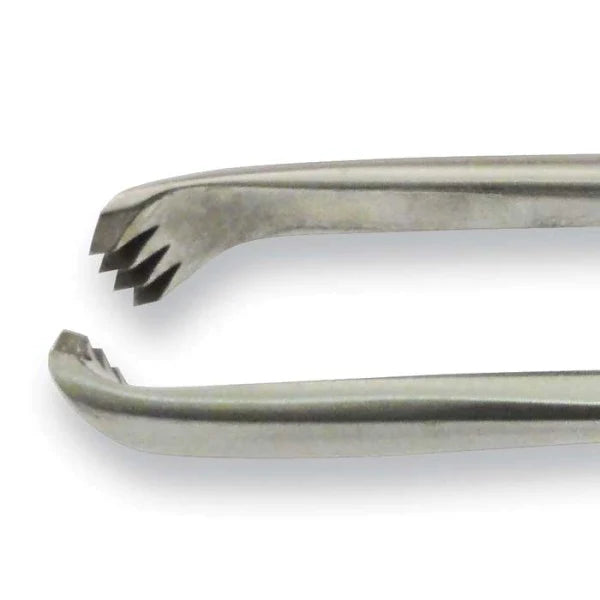Gynex - Tenaculum Forceps Teale 25 cm Stainless Steel NonSterile Slightly Curved 3 X 4 Teeth - 3536