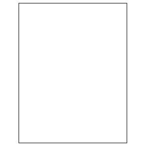 Tabbies Laser / Inkjet Label Sheets, - Use Template No. 5165 - 11" H x 8-1/2" W, - 100 per Pack - 40165