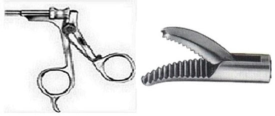 Spring Handle - Petelin Dissector 30 Degree