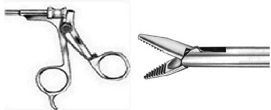 Spring Handle - Pointed Grasper with Spoon