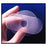 Ethicon Inc,a J & J Company Mesh System Prolene 4.5Cmx10Cm Hernia 3/Bx - PHSM