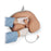 Nasco Company Simulator Training Life/Form Male Urinary Catheterization Ea - LF00855U