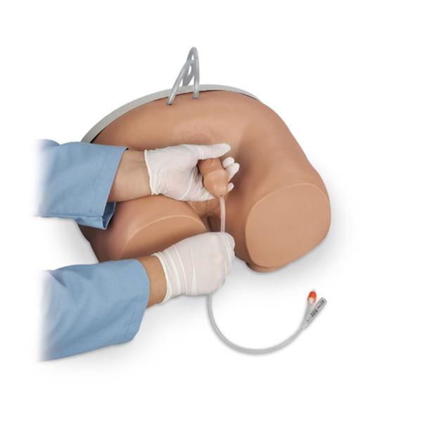 Nasco Company Simulator Training Life/Form Male Urinary Catheterization Ea - LF00855U