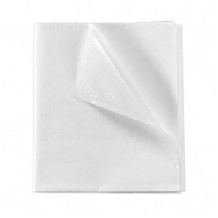 Fabri-Cel Choice - Stretcher Sheet Flat Sheet 40 X 72 Inch White Tissue / Polyethylene Film Disposable - 919372