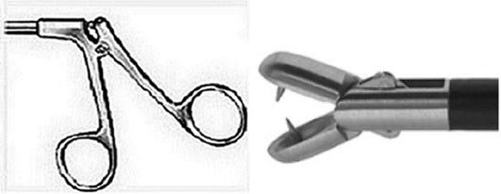 Standard Handle - Spoon Foeceps with Teeth