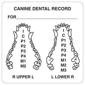 Tabbies Examination Record Labels - 2-1/2"W x 2-1/2"H, 240 Per Roll - V-AN432
