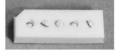 Gardlok - Surgical Cherry Dissector Sponge X-Ray Detectable Cotton / Gauze 1/4 Inch Diameter 5 Count Pack Sterile - 200218
