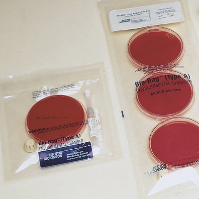 Bio-Bag - Environmental Chamber Bag Translucent, Includes CO2 Gas Generators, Resealable Medias - 261510