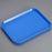 Sklar Instrument Tray Mayo Plastic 6-5/8 X 10-1/8 Inch - 22190