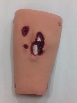 Leg Model
