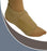 Ankle, Foot and Toe