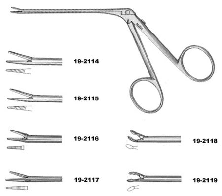 Miltex Miltex Ear Forceps Bellucci 3 Inch OR Grade Stainless Steel (German) NonSterile Finger Ring Handle Straight 8 mm Serrated Jaws - 19-2115