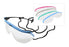 Safety Eyewear