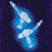 Avanos Medical Sales LLC Mic-Key Gastrostomy Feeding Tube Kit MIC-Key 20 Fr. 1.2 cm Silicone Sterile - 0120-20-1.2
