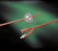 Bard Bardex Lubricath Foley Catheter 2-Way Coude Tip 5 cc Balloon 24 Fr. Hydrophilic Polymer Coated Latex - 0102L24