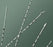 Bard - Ureteral Catheter Spiral Tip Polyurethane 5 Fr. 28 Inch - 137505