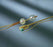 Bard Davis Foley Catheter 20 cc Meatal / 30 cc Bladder Balloon 14 Fr. Hydrogel Coated Latex - 0187L