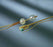Bardex Lubricath - Foley Catheter Diagnostic, Specialty, Davis Model Round Tip 20 cc Meatal, 30 cc Bladder Balloon 14 Fr. Hydrogel Coated Latex - 0187L