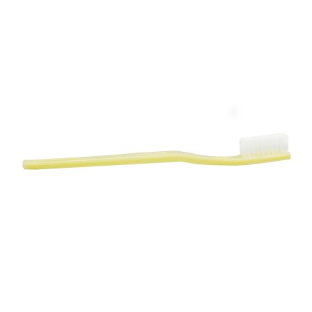 DawnMist - Toothbrush Ivory Adult - TB30
