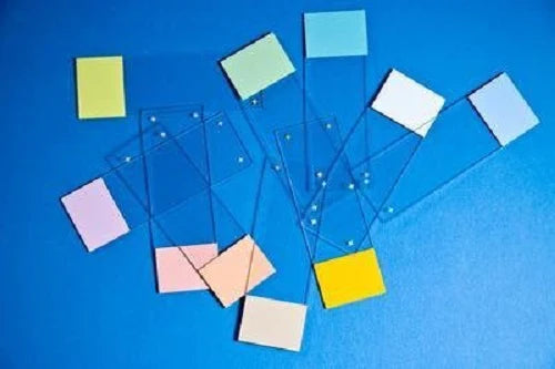 Colorfrost Plus - Charged Microscope Slide 25 X 75 X 1 mm Gold End - 9951GLPLUS-006