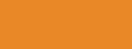 Precision Dynamics Barkley Blank Label Tape Multipurpose Label Without Legend Orange 3/8 X 200 - IN-600-6