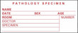 Timemed - Pre-Printed Label Laboratory Use White Pathology Specimen, Name, Date, Sex, Age, Room, Doctor, Speciment, Number Red Lab / Specimen 1-1/2 X 3-1/2 Inch - SP-4