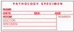 Precision Dynamics TimeMed Pre-Printed Label Timemed Laboratory Use Pathology Specimen, Name, Date, Sex, Age, Room, Doctor, Speciment, Number White 2 X 3-1/2 Inch - SP-5