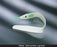 Bard - Leg Strap 30 Inch, Single Use, Nonsterile, Soft Resilient Foam, Velcroa Closure - 000025