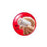J & J Healthcare Systems Surgifoam Absorbable Gelatin Sponge - 1975