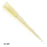 Globe Scientific Pipette Tip 1-200Ul Graduated 54Mm Non-Sterile Disposable 96/Rl 10Rl/Ca - 151150YR-96