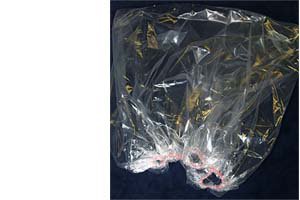 Eazy Covers - Equipment Cover 40 X 40 Inch - EZ4040