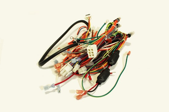 Main Wiring Harness