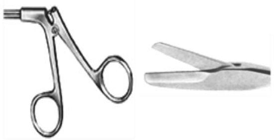 Standard Handle - Straight Scissors