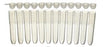 Test Tube Cap 8-Well Closure Strips