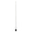 AVANOS* - Spinal Needle Quincke Style 22 Gauge 6 Inch - 18397