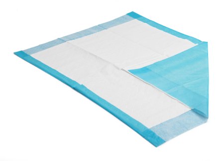 McKesson McKesson Procedure Underpad 17 X 24 Inch Blue NonSterile - 16-16650