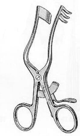 Integra Lifesciences - Endaural Retractor 5-1/4 Inch Length OR Grade - 19-669