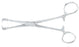 Integra Lifesciences - Forceps Lahey 6-1/4 Inch Length Surgical Grade Stainless Steel NonSterile Ratchet Lock Finger Ring Handle Straight 3 X 3 Teeth - 12-80
