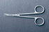 McKesson - Iris Scissors 3-1/2 Inch Office Grade Stainless Steel Finger Ring Handle Straight - 43-2-103