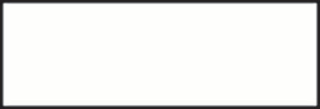 Precision Dynamics Barkley Blank Label Multipurpose Label Without Legend White 1-1/2 X 1/2 Inch - ANW-B