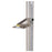 Health O Meter - Height Measuring Rod Aluminum Wall Mount - PORTROD