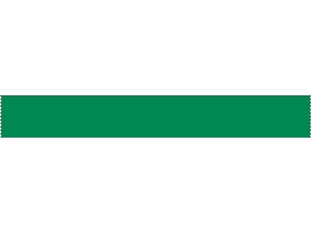 Shamrock Scientific Blank Label Tape Multipurpose Label Without Legend Green 1/4 X 200 Inch - SMT-38-25