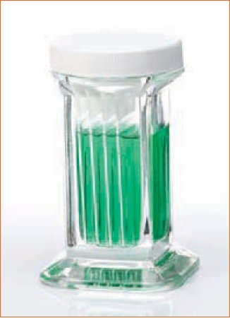 Fisher Scientific - Staining Jar - 08813E