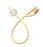 Medline - Foley Catheter 2-Way Standard Tip 30 cc Balloon 12 Fr. Silicone Coated Latex - DYND11772