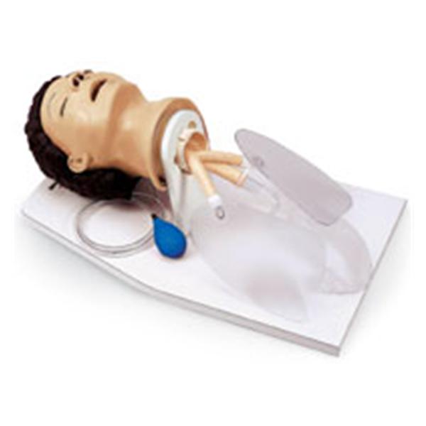 Nasco Company Head Trainer Airway Management Life/Form Adult Each - LF03601U