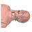 Nasco Company Upper Half Manikin Training Critical Airway Male Adult Light Skin Ea - 101-060