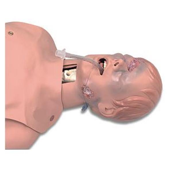 Nasco Company Upper Half Manikin Training Critical Airway Male Adult Light Skin Ea - 101-060