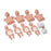 Nasco Company Manikin Training Instructor'S Economy Starter Package Each - 100-2151