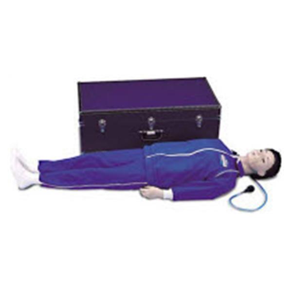Nasco Company Manikin Model Life/Form Full Cprarlene Each - LF03943U
