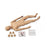 Nasco Company Full Body/Cpr Manikin Trauma Adult Ea - 100-2725